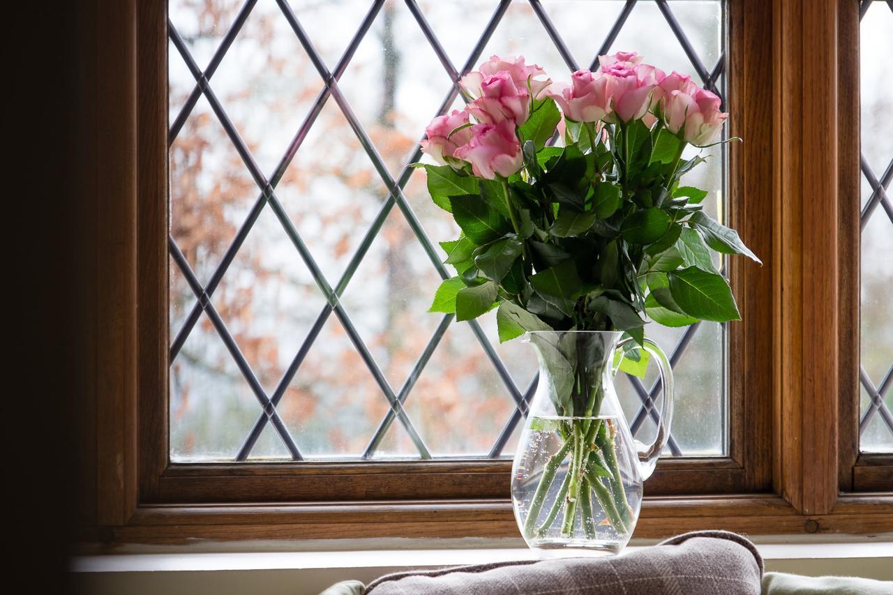 The Graig Bed & Breakfast Ludlow Farden Экстерьер фото