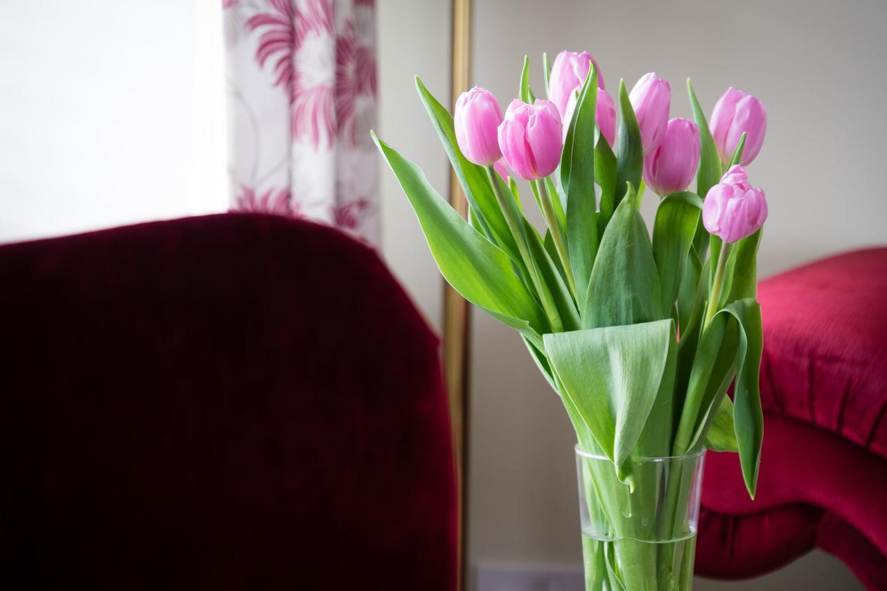 The Graig Bed & Breakfast Ludlow Farden Экстерьер фото