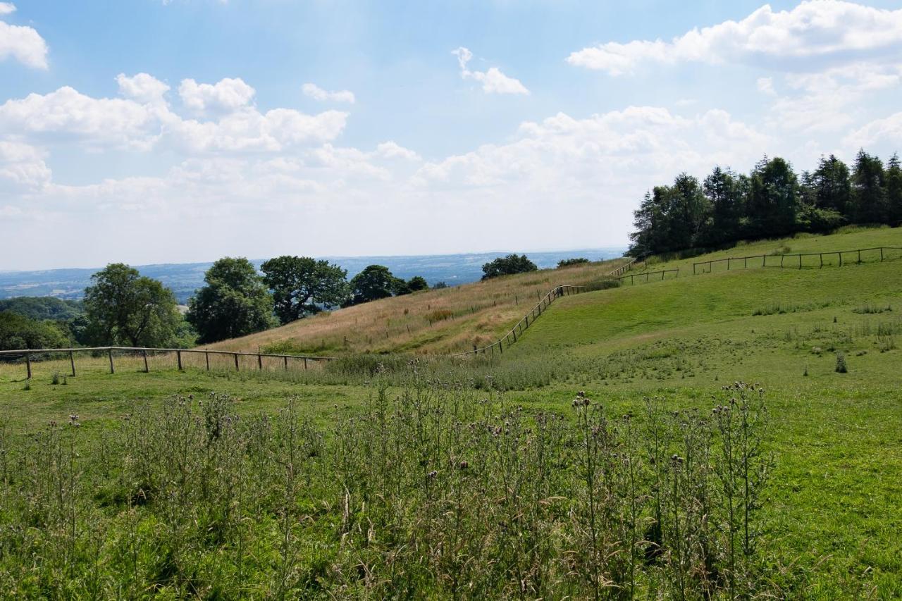 The Graig Bed & Breakfast Ludlow Farden Экстерьер фото